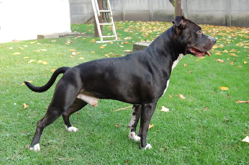 Dzeus (Sans Affixe)