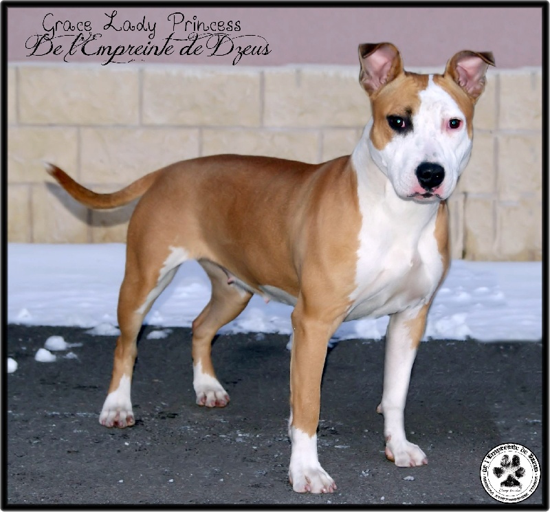 Grace lady princess De L'empreinte De Dzeus