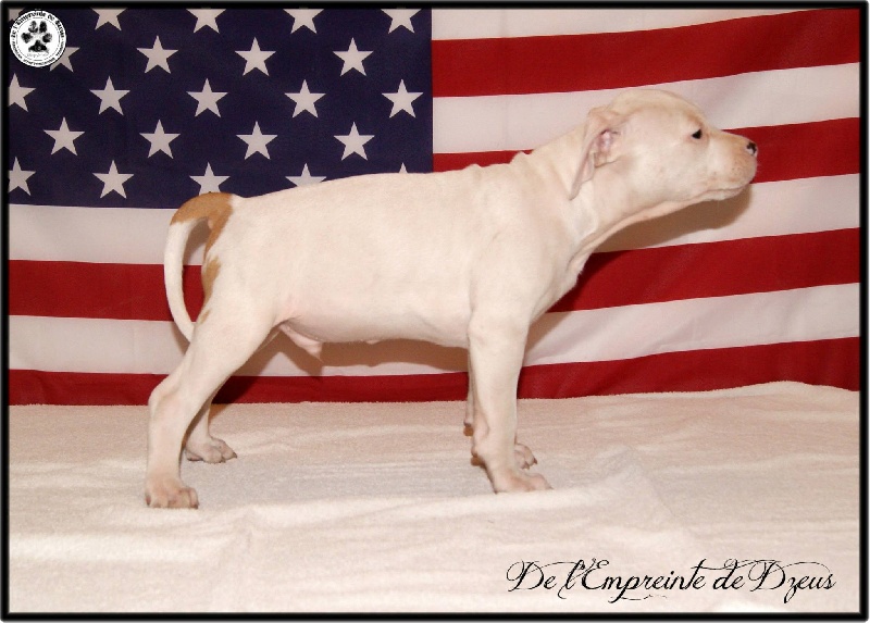 Immortal snow De L'empreinte De Dzeus