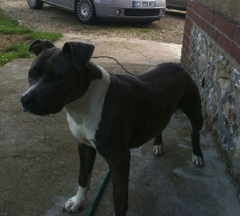 Icone of blue tide junior De L'empreinte De Dzeus